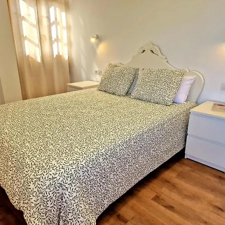 Jacaranda Azul Icod De Vinos