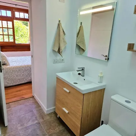 Jacaranda Azul Icod De Vinos *