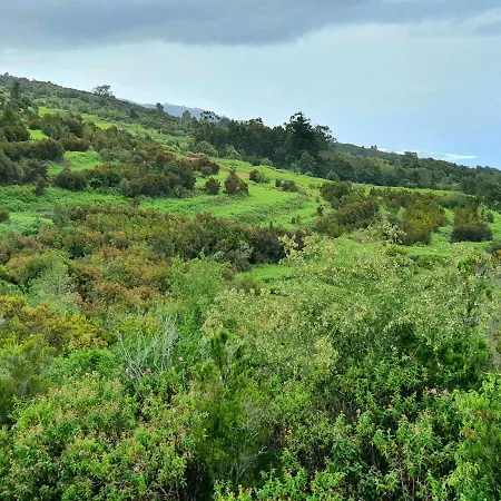 Appartamento Jacaranda Azul Icod De Vinos *