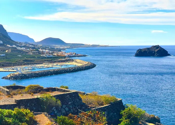 Jacaranda Azul Icod De Vinos * Икод-де-лос-Винос