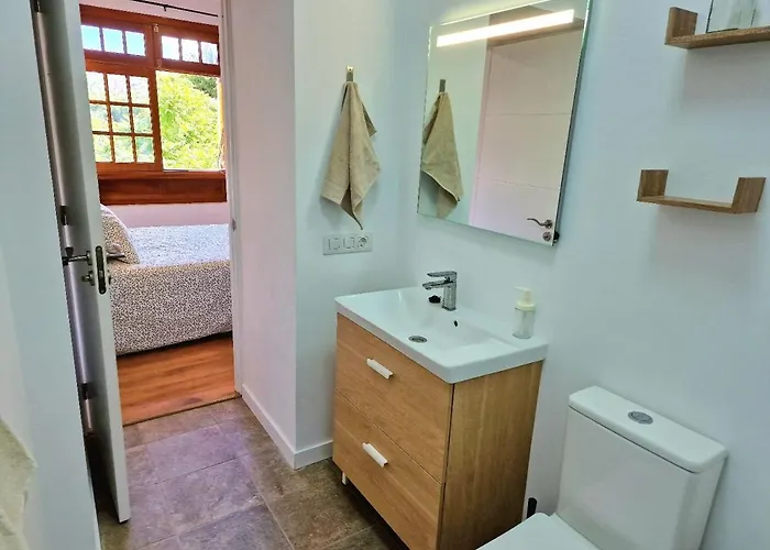 Jacaranda Azul Icod De Vinos *