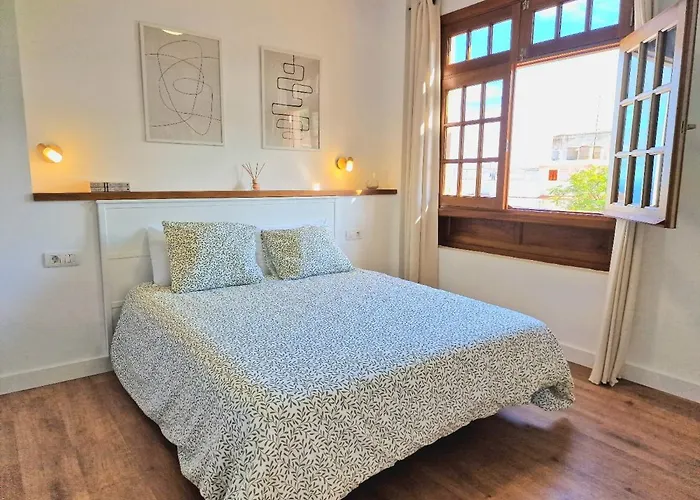 Jacaranda Azul Icod De Vinos *