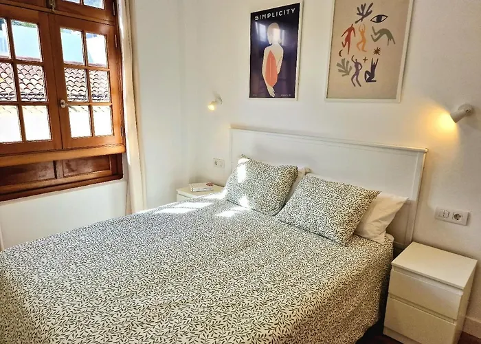 Jacaranda Azul Icod De Vinos * Icod De Los Vinos