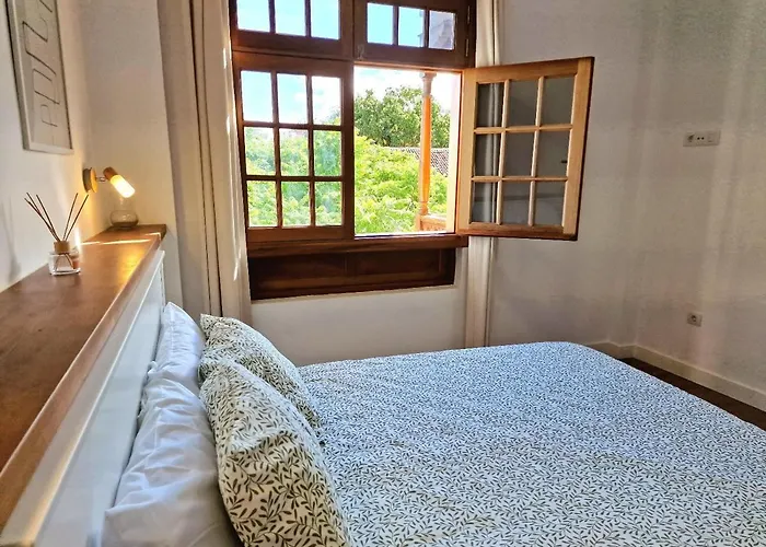 Jacaranda Azul Icod De Vinos *