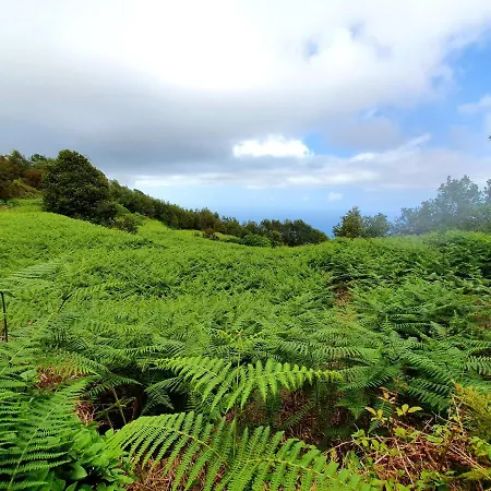 Appartement Jacaranda Azul Icod De Vinos Icod De Los Vinos