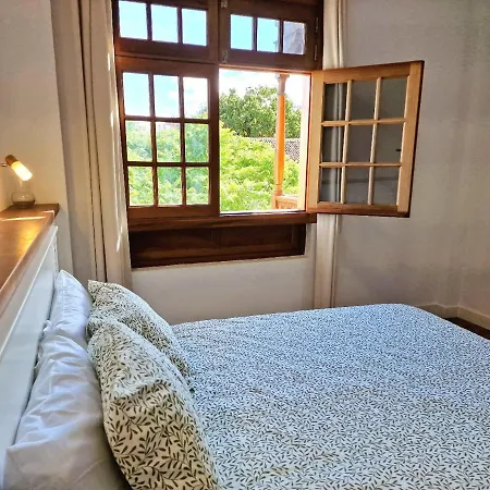 Jacaranda Azul Icod De Vinos *