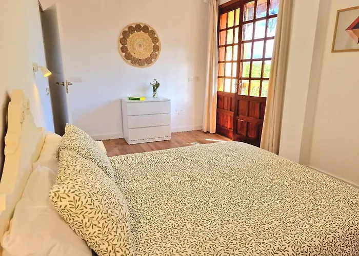 Jacaranda Azul Icod De Vinos *