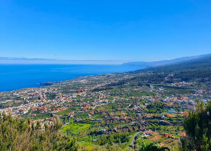 Daire Jacaranda Azul Icod De Vinos