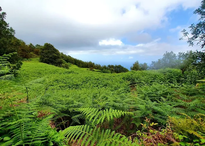 Appartement Jacaranda Azul Icod De Vinos Icod De Los Vinos